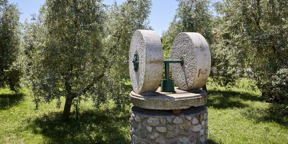 Frantoio-Manestrini-02